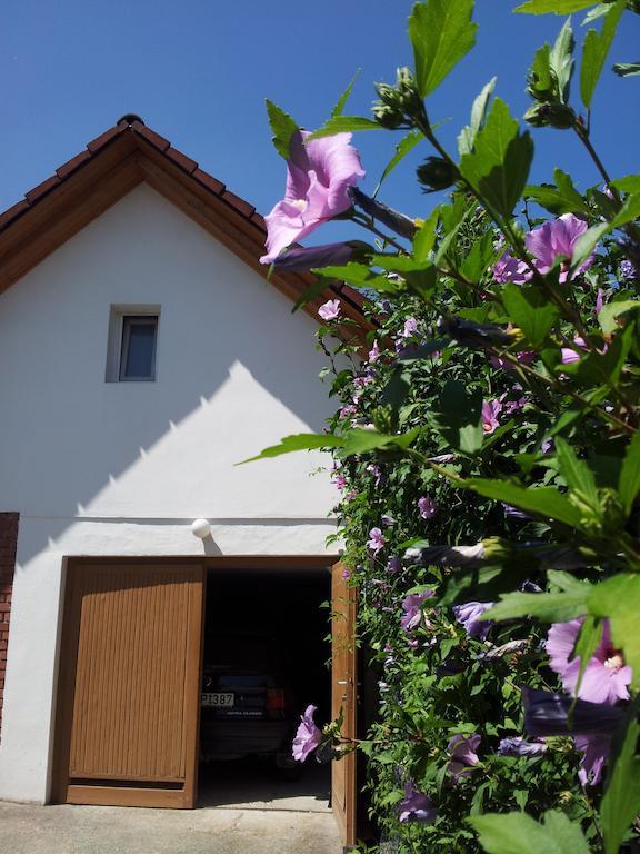 Antal Apartmanok Zalakaros Exterior foto